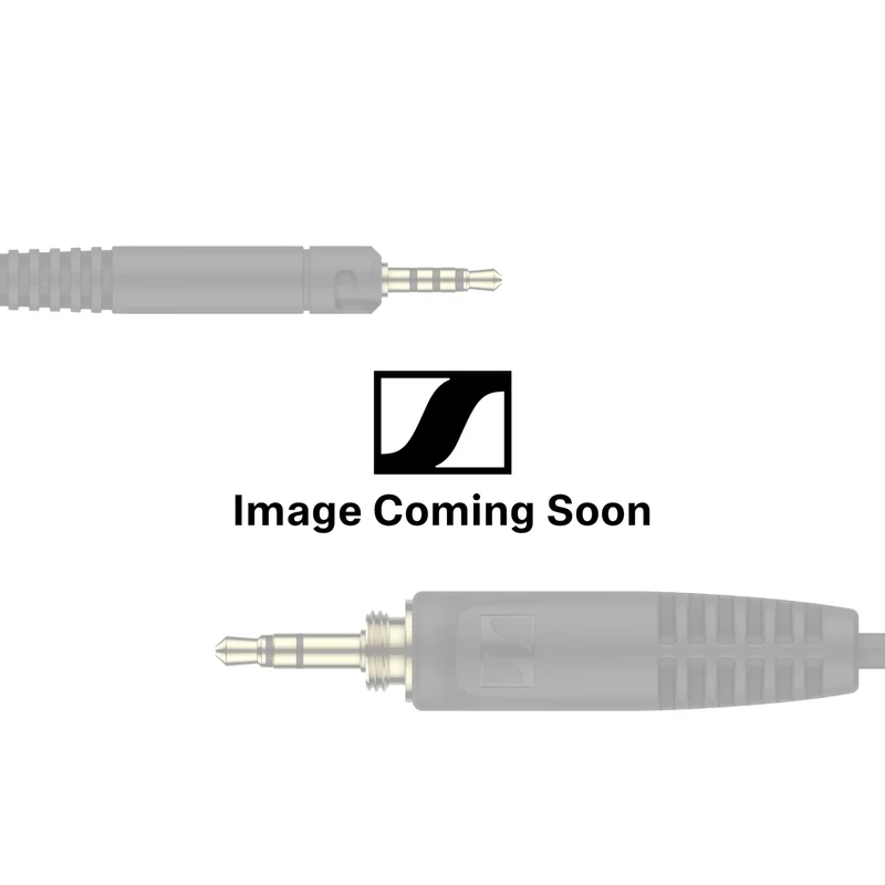 Ear Hooks for IE 80 S