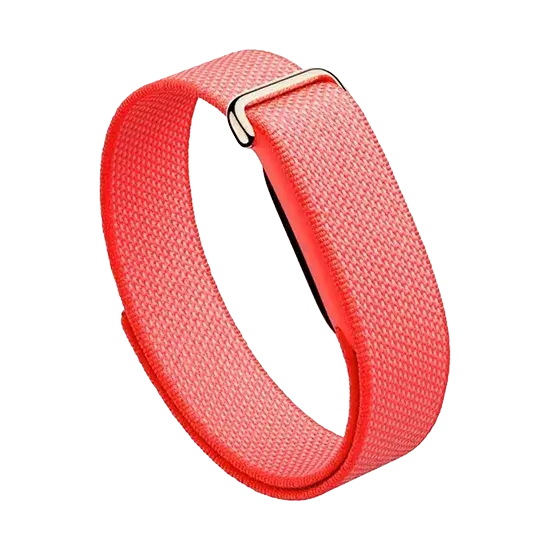 Google Fitbit Air, Berry