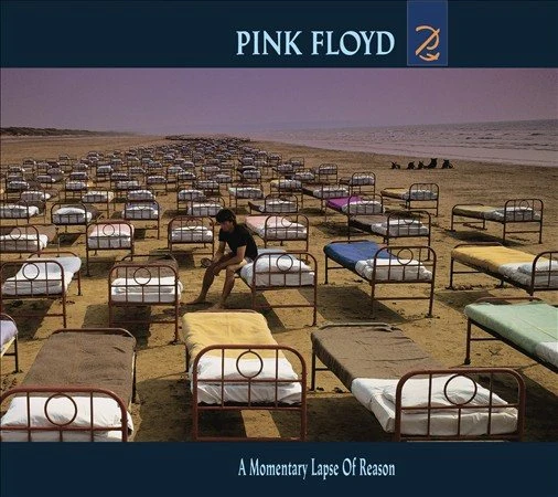 Pink Floyd A MOMENTARY LAPSE OF REASON