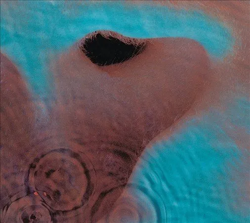 PINK FLOYD MEDDLE